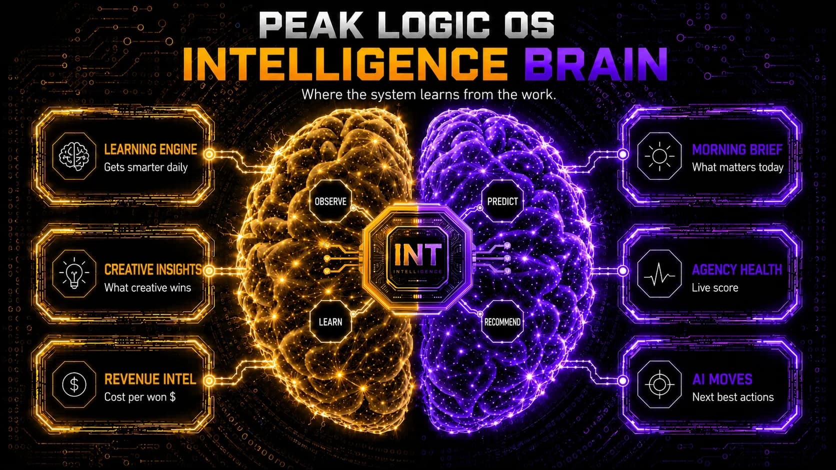 The Intelligence brain