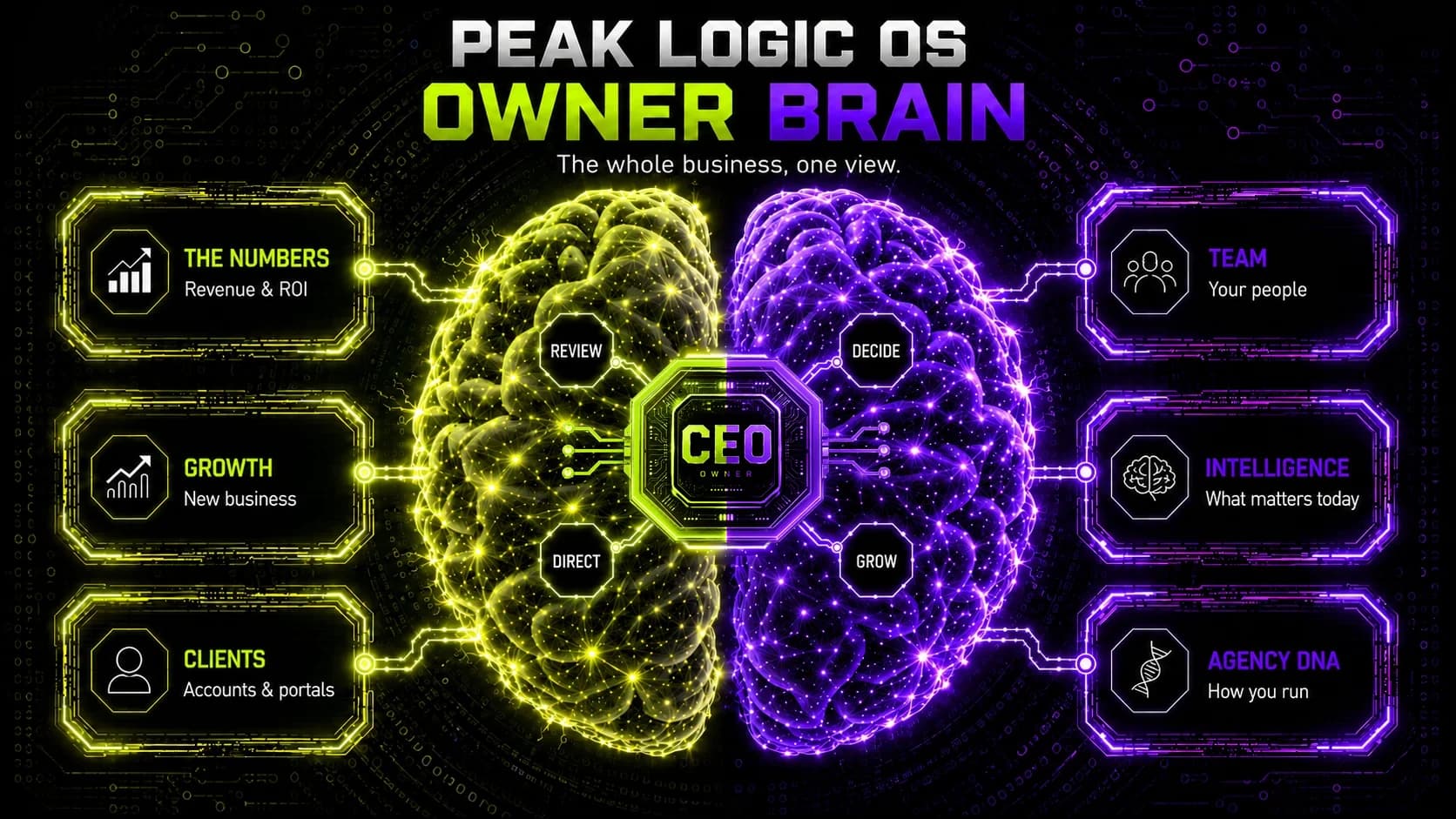 Owner brain